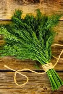خرید و فروش اقتصادی شوید خشک اعلا